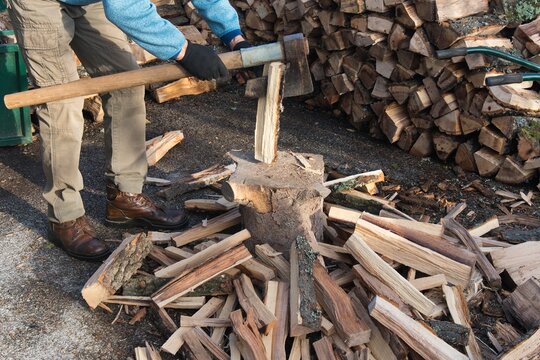 Preparing Winter Firewood