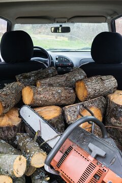 Preparing Winter Firewood