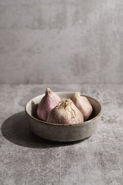 galic bulbs 