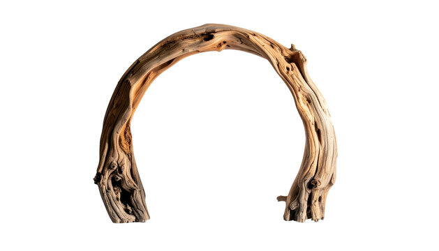 Arched, weathered driftwood against a black backdrop, showcasing natural wood textures