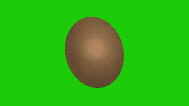 egg animation ong green screen