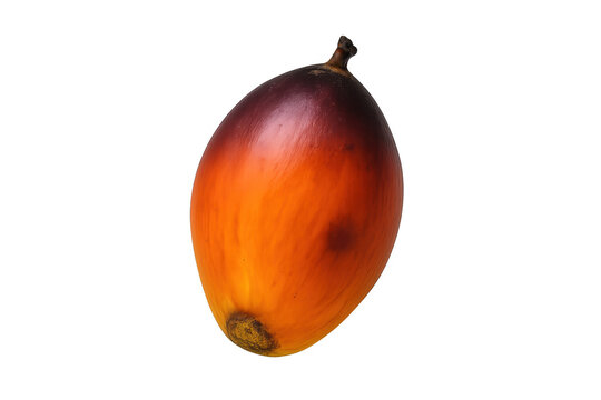 Fresh palm oil fruit displaying vibrant colors on transparent background
