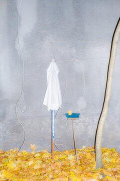 Conceptual still life about autumn and backyard cleaning