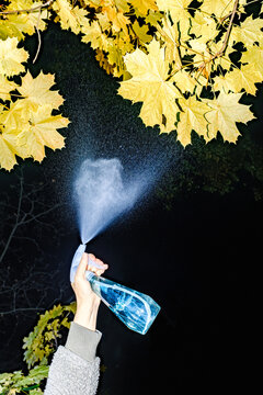 Spraying  foliage