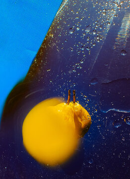 Floating yellow object in water with bubbles
