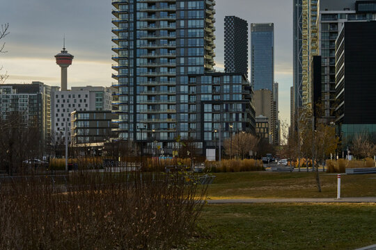 Calgary Tower and Modern High-Rises Viewed from Urban Park