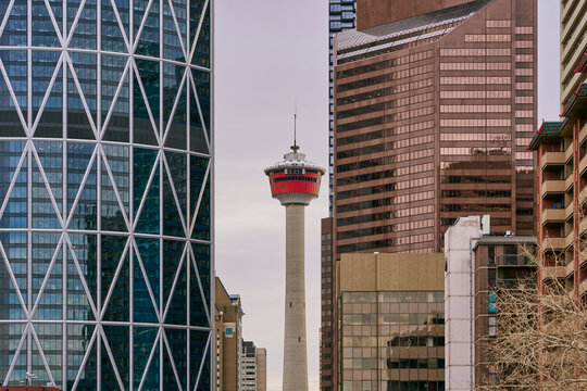Calgary Tower Framed by Modern Downtown Skyscrapers