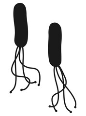 ピロリ菌シルエット