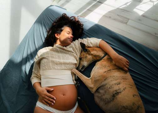 Pregnant woman resting in bed with her dog