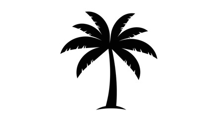 Obraz premium Black Silhouette of a Tropical Palm Tree on a White Background.