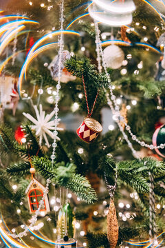 Trees adorned with lights and ornaments