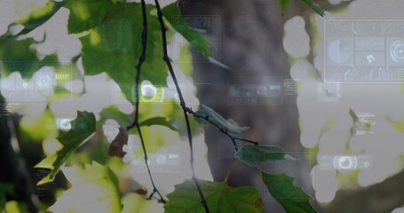 Naklejka premium Displaying thin diagonal branch showing brown-edged leaf with veins in canopy, with HUD and bokeh