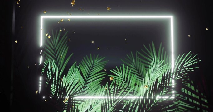 Glowing white neon rectangular frame lighting green palms in dark studio, gold confetti drifting