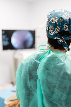 Veterinarian performing endoscopy procedure in animal hospital