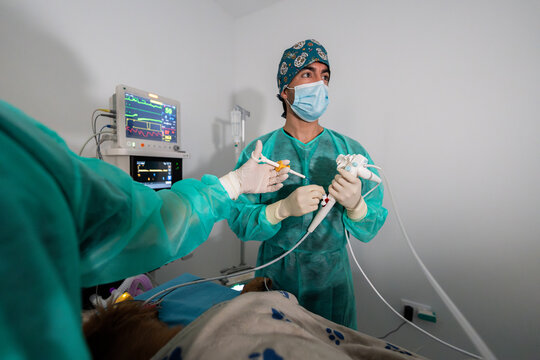 Veterinary team performing endoscopy on a pet