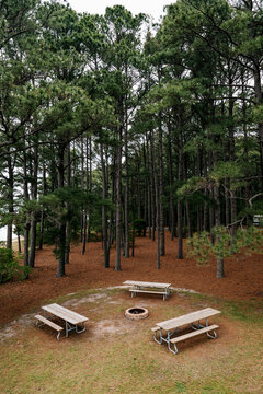 Three Picnic Benches