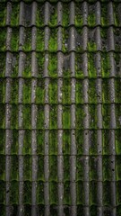 Fototapeta premium Weathered Roof Tiles With Vibrant Green Moss Texture Background