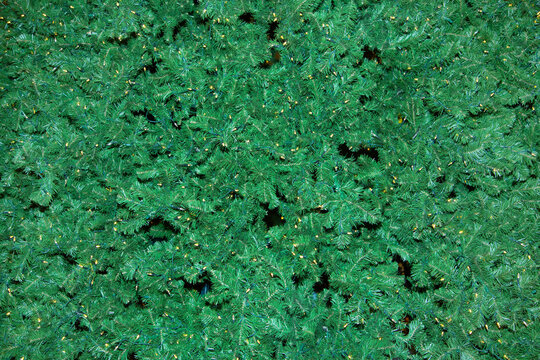 Green Christmas tree background