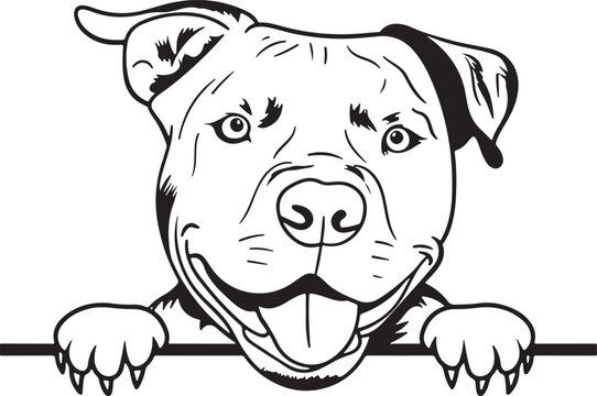 A cheerful pit bull terrier peeks over a black line