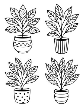 Plant icons, 4 vector illustrations of crotons in pots, in outline design style
