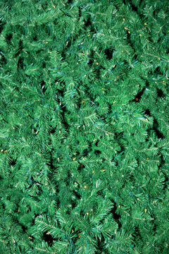 Green Christmas tree background