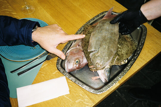 Fresh fish selection at restaurant 
