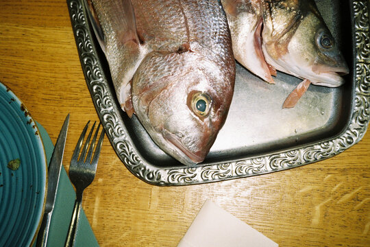 Raw fish on tray
