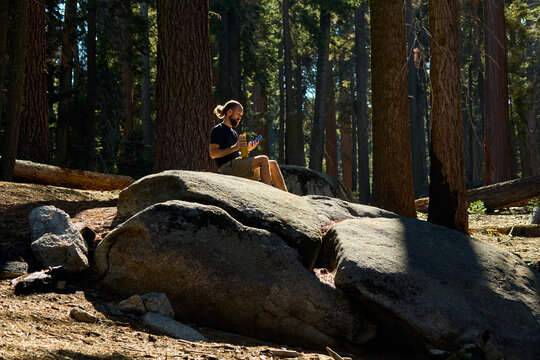 Man spends the day in redwood forest
