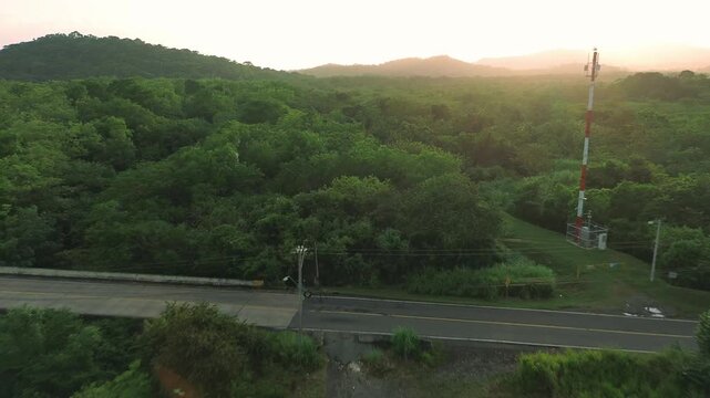 A lush green forest with a red and white pole in the background