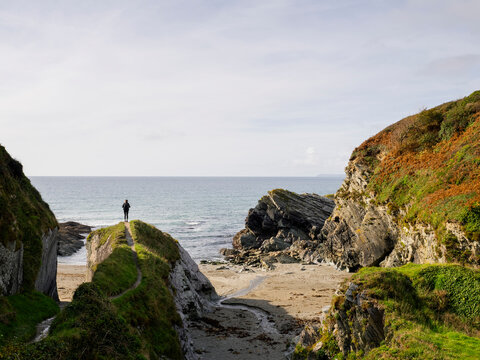 Person stands on a cliff path by the sea