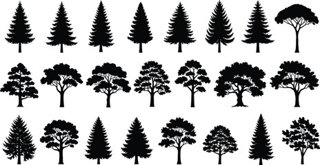 Black tree silhouettes collection, coniferous and deciduous trees, botanical illustration set, forest nature design elements for education, art ©  jahanara