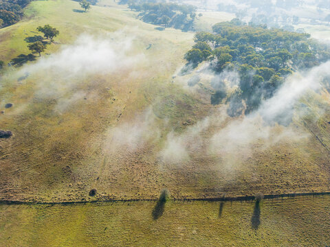 Fog lifting from green farmland on a Winters morning