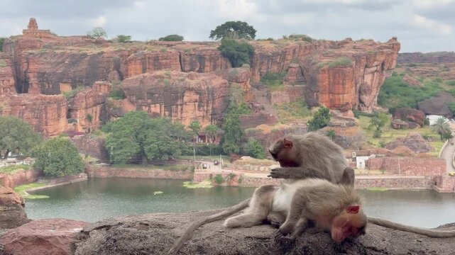 Monkeys playing near Badami Cave No. 4, with Agastya Lake in the background and majestic red sandstone hills, creating a lively scene amid the timeless beauty of Badami