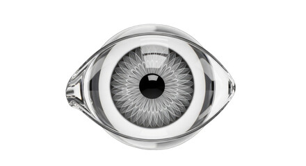 Futuristic Robotic Eye with Metallic Details and White Background