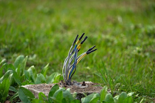 exposed electrical cables emerging from a concrete base in a grassy 