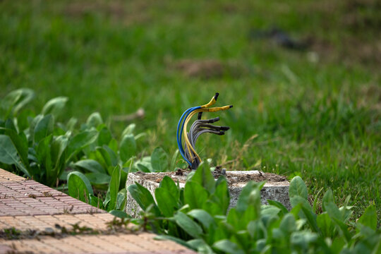 exposed electrical cables emerging from a concrete base in a grassy 