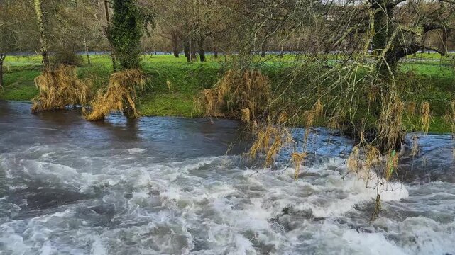 Debris remains in the trees on the riverbanks after the high water levels caused by Storm Kristin in Portugal.
