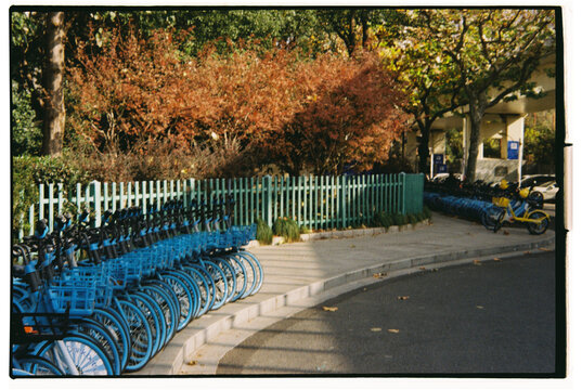 Bicycles lined up in a park near trees and a fence in autumn