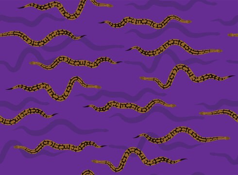 Snake Ball Python Spider Morph Seamless Background Wallpaper Pattern