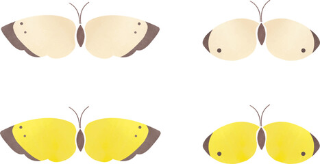 モンシロチョウとモンキチョウのイラスト素材