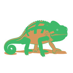 Fototapeta premium Green Chameleon Illustration on White.