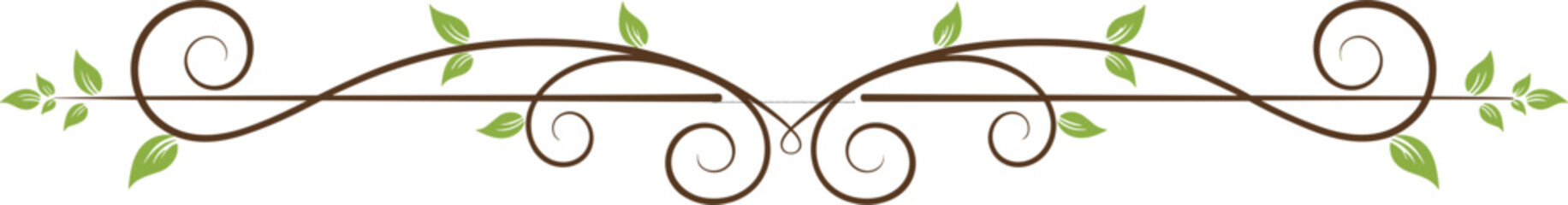 Elegant floral vine divider, decorative swirl border with green leaves, nature inspired ornamental design, botanical scroll frame, isolated white background © Sahidul