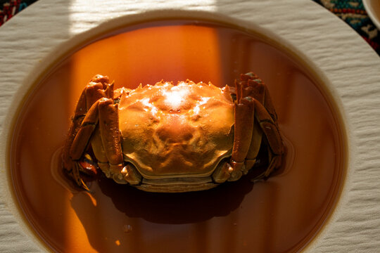 Chinese Mitten Crabs
