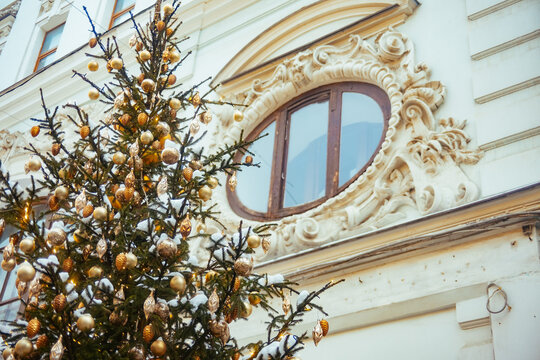 Festive tree by ornate winter building