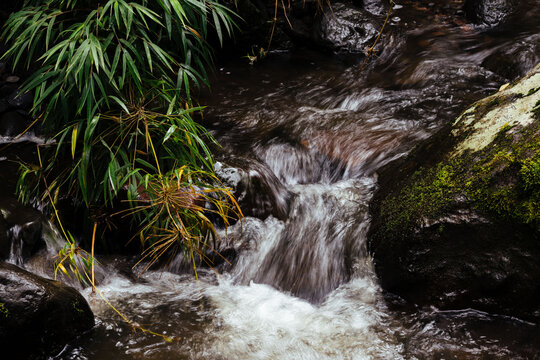 Flowing stream with rocks and green vegetation
