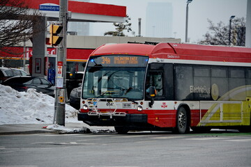 Naklejka premium Toronto public transport TTC 34 Eglinton East Bus on Eglinton Avenue. Toronto, Ontario, Canada, February 6, 2026: Toronto public transport TTC 34 Eglinton East Bus makes its way along Eglinton Avenue 