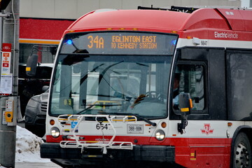 Naklejka premium Toronto public transport TTC 34 Eglinton East Bus on Eglinton Avenue. Toronto, Ontario, Canada, February 6, 2026: Toronto public transport TTC 34 Eglinton East Bus makes its way along Eglinton Avenue 