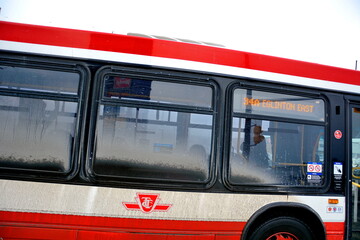 Naklejka premium Toronto public transport TTC 34 Eglinton East Bus on Eglinton Avenue. Toronto, Ontario, Canada, February 6, 2026: Toronto public transport TTC 34 Eglinton East Bus makes its way along Eglinton Avenue 