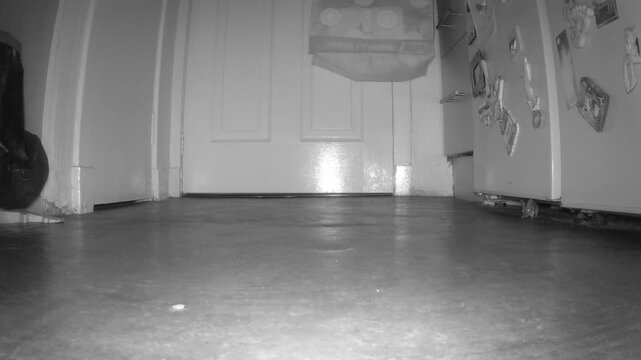 The mouse runs across to the camera from the other side of the kitchen.