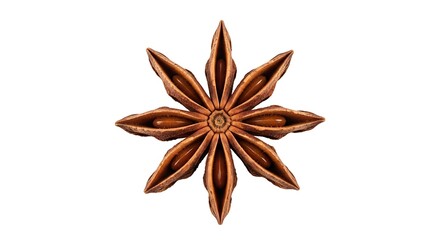 Single Star Anise Spice Pod Isolated on White Background view seasoning